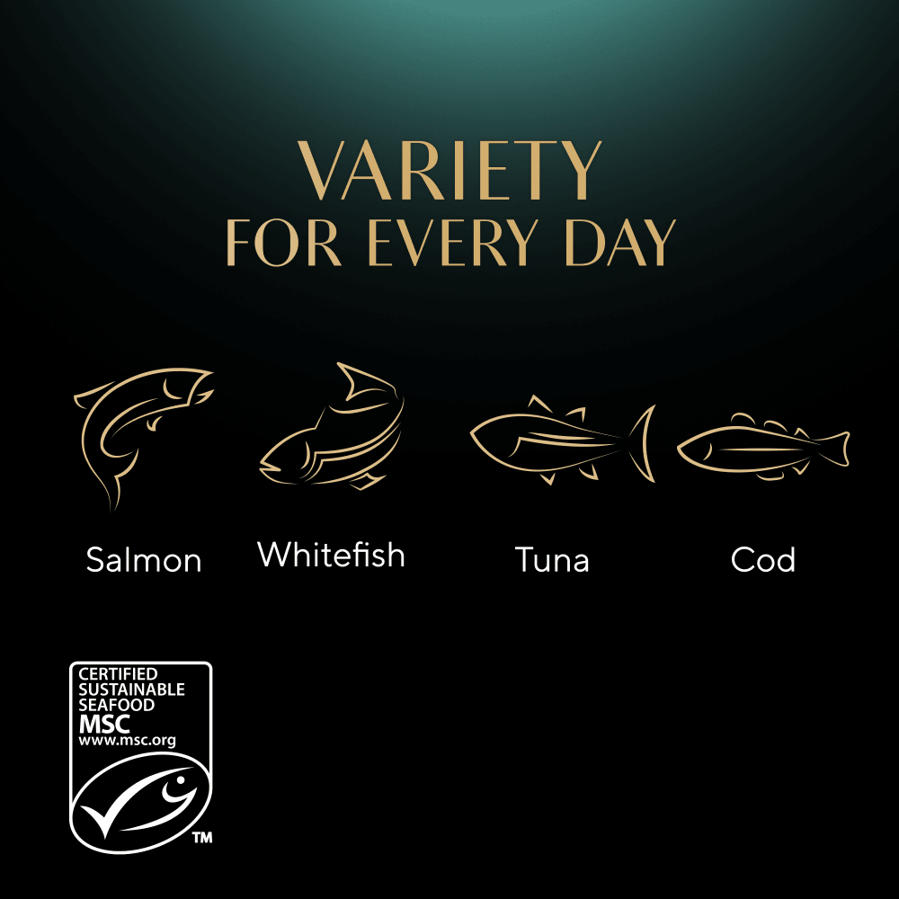 SHEBA® Sauce Collection Fish Selection 12 & 40 x 85g - 4