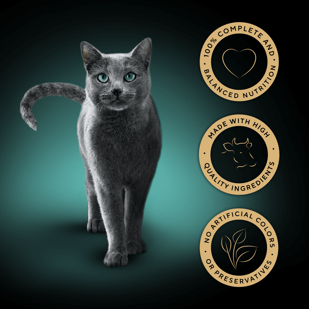 SHEBA® Select Slices Adult Cat Food with Beef & Turkey in Gravy 85g Tray - 3