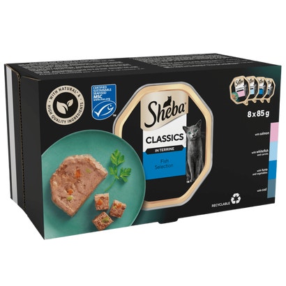 Classics with Salmon in Terrine