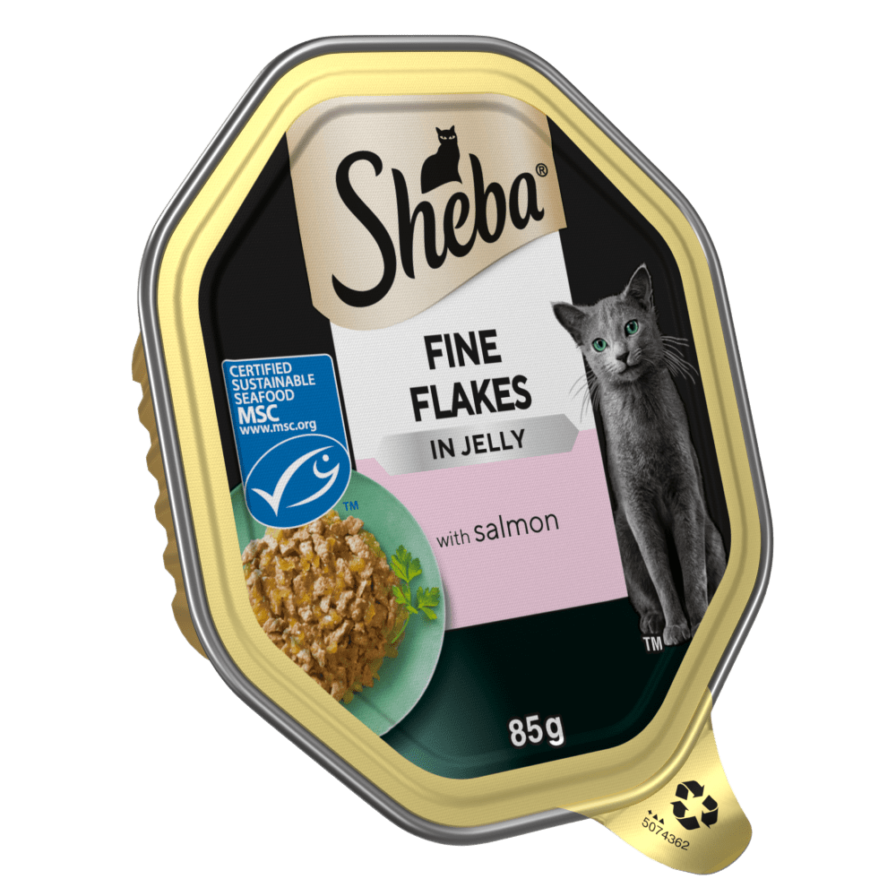 Fine Flakes with Salmon Jelly
