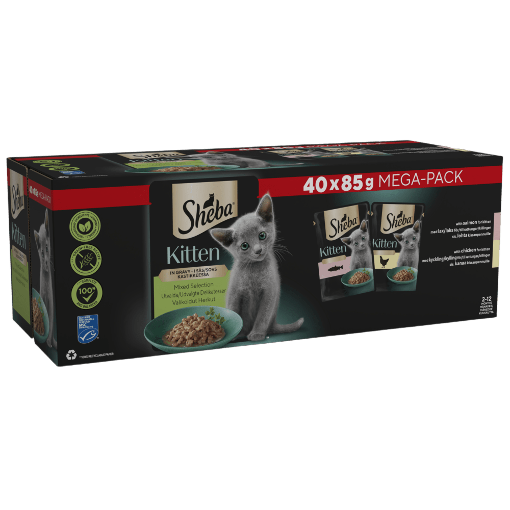 Mixed Selection Kitten Food in Gravy